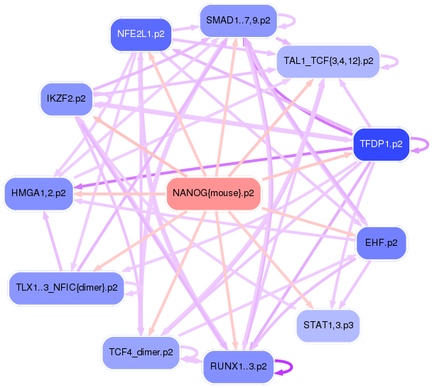 PNG image of the network